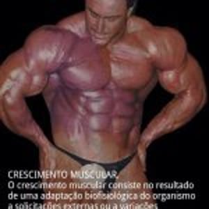 Marcelo De Paula Treinador