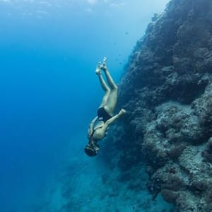 Freedive Gili