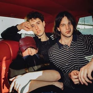 Beach Fossils