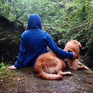 Aww Golden