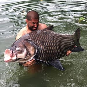 Ali Hamidi