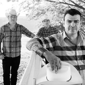 Hijos De Barron