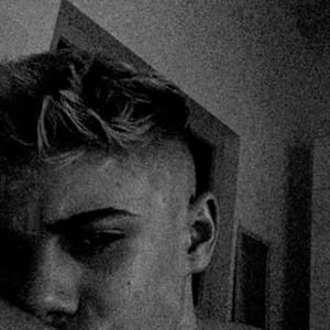 Noah Schiffner