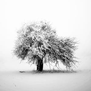 Huseyin Taskin