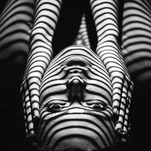 Vlad Limer