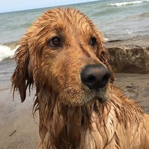 Finley Molloy