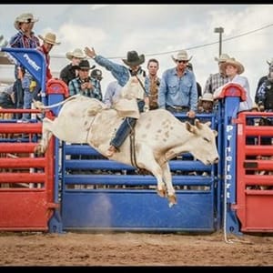 Dalton Kasel