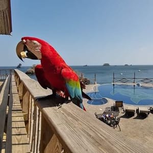 Hacienda Del Mar
