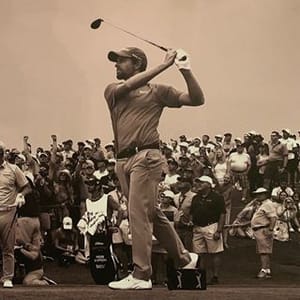 Webb Simpson