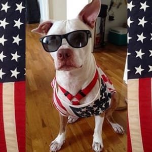 Beau Brady
