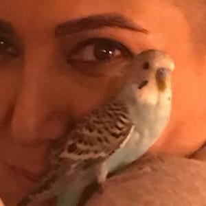 Pantea Bahram