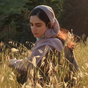 Hanieh Gholami