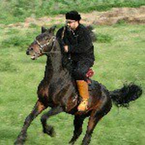 Daniyar Daukey