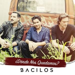 Bacilos