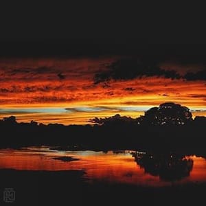 Vandera Arde