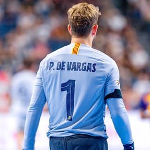 Gonzalo Perez De Vargas