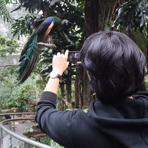 Ilham Fauzi