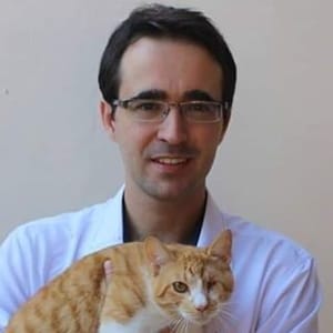 Bruno Ganem