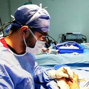 Allaa El Aissaoui
