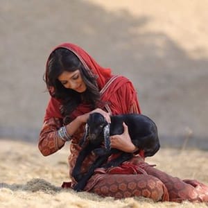 Aakanksha Sareen