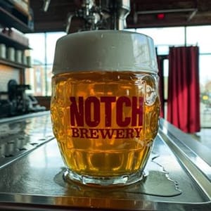 Notch