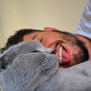 Canta Sarsu