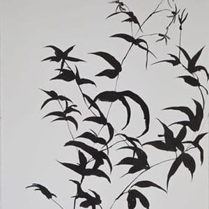 Polly Farquharson