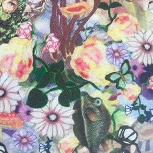 Liz Friedlander