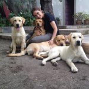 Reni Baitenmann