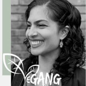 Vegang