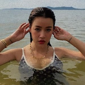 May P Vignola