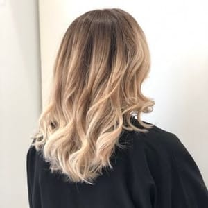 Lebardescoloristes