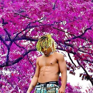 Rockn Calixte