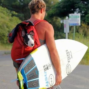 Darren Muschett
