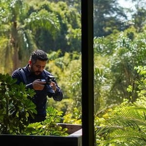 Primeiro Plano