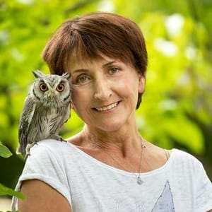Johanna Abert