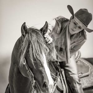 Stevi Hillman