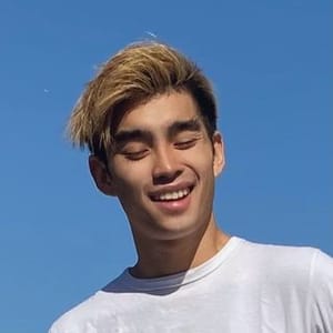 Dan Q. Dao