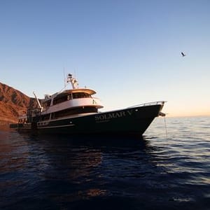 Solmar V Liveaboard
