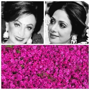 Raakhee Punjabi