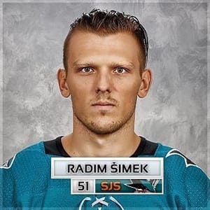 Radim Simek