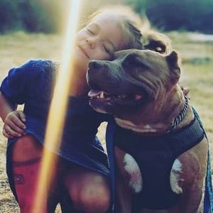 Pitcrew  Rescue