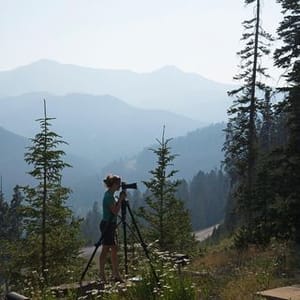 Whitney Kamman