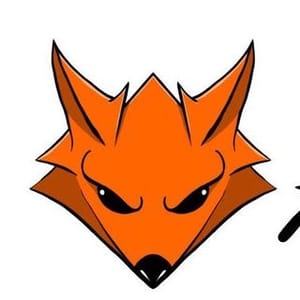 Teamfoxx Llc