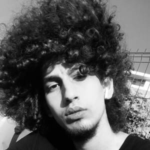 Baris Gokcer Akbay
