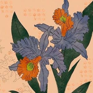 Blackeyed Susan