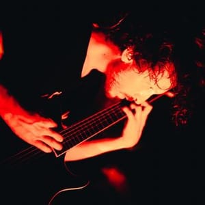 Mitchell Stark