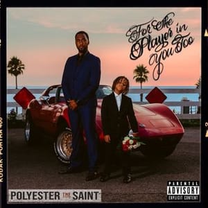 Polyester  Saint