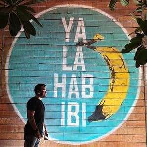 Habib Slim