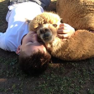 Chew paca